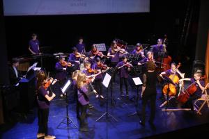 KONCERT ORKESTROV GLASBENE ŠOLE 07 FOTO LJUBO VUKELIČ